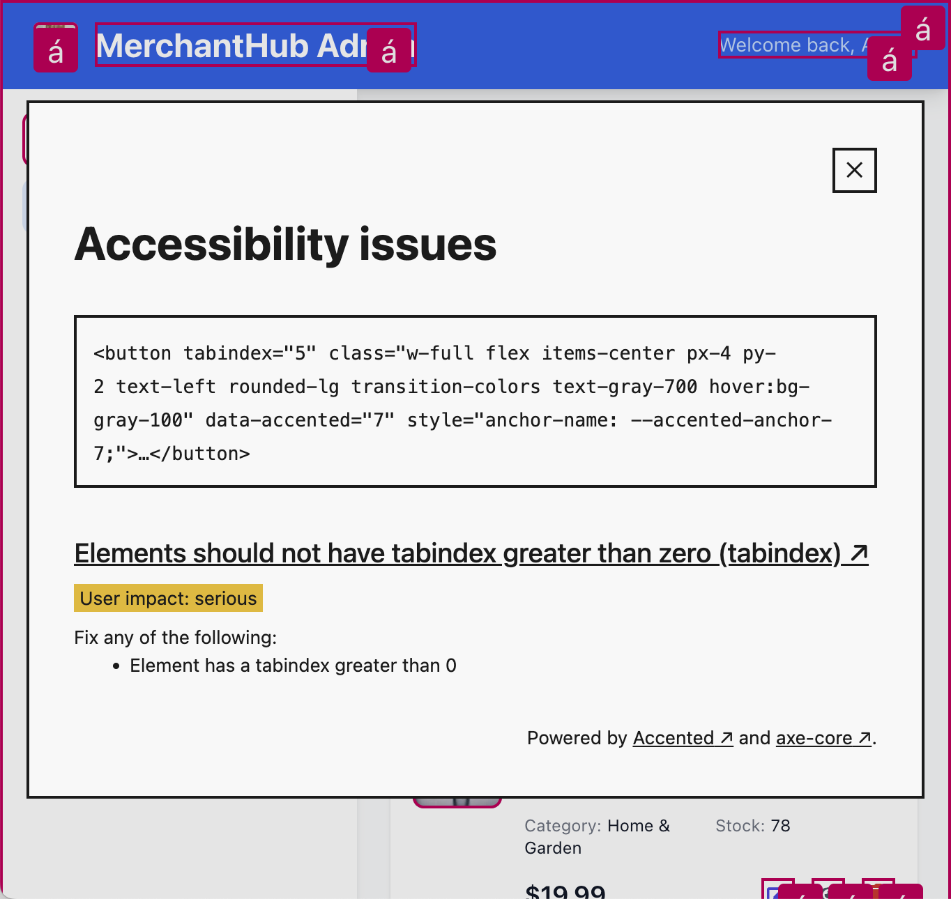 Screenshot of the same application with an open dialog displaying accessibility issue information.